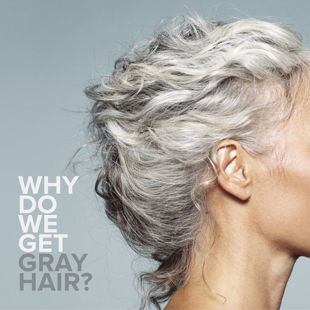 WHY DO WE GET GRAY HAIR?