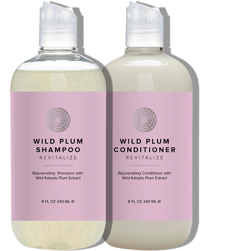 Wild Plum Duo