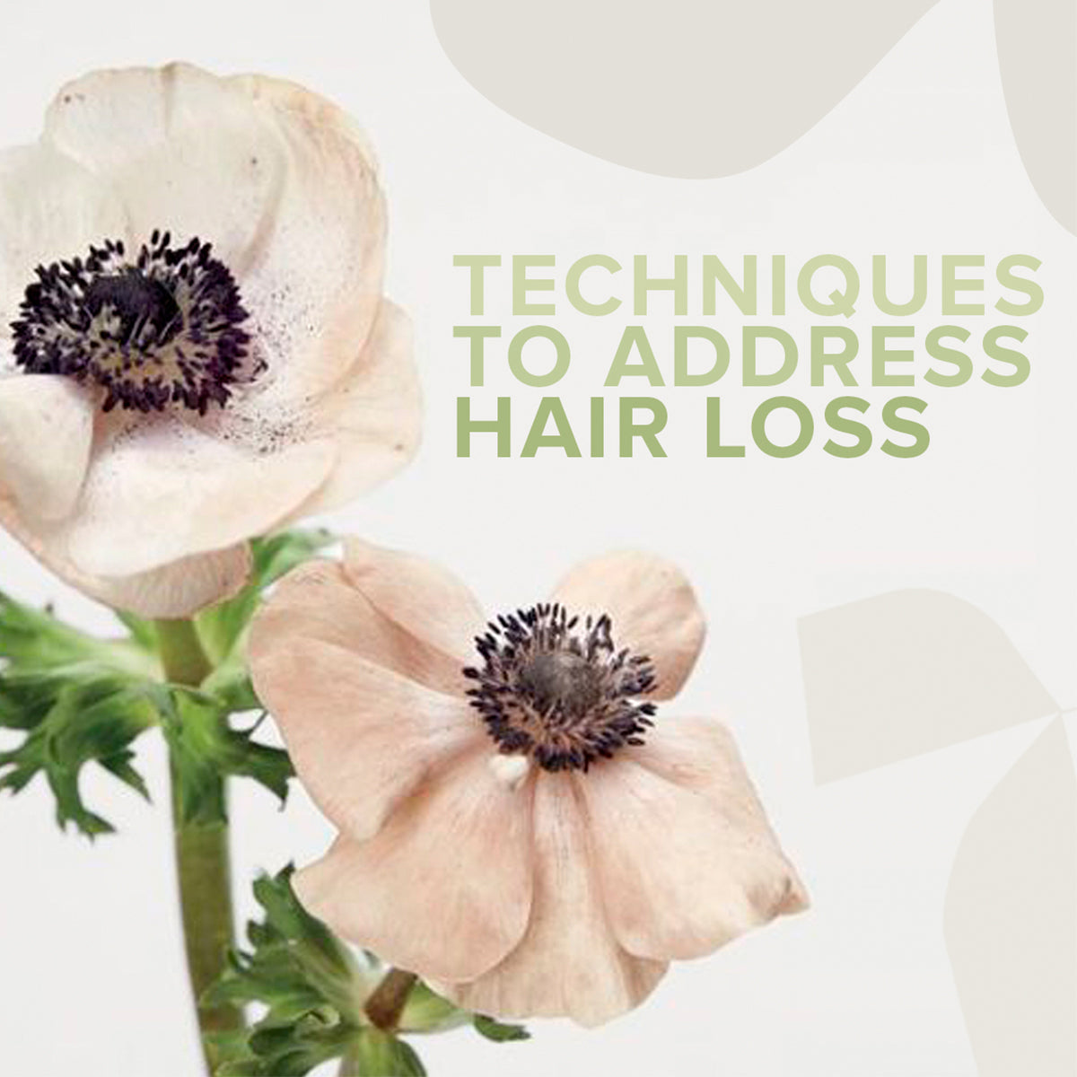 TECHNIQUES TO ADDRESS HAIR LOSS