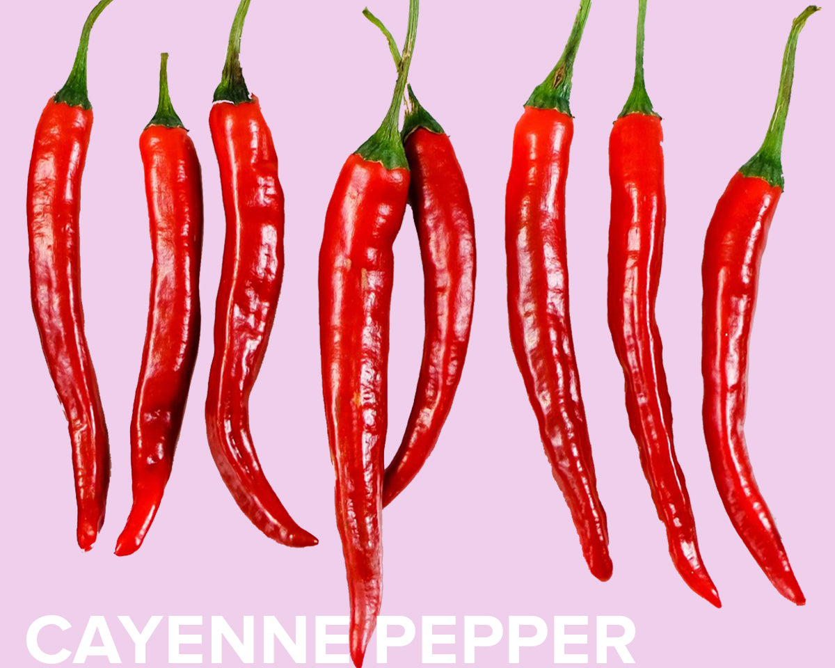 CAYENNE PEPPER HAIR STIMULATING OIL