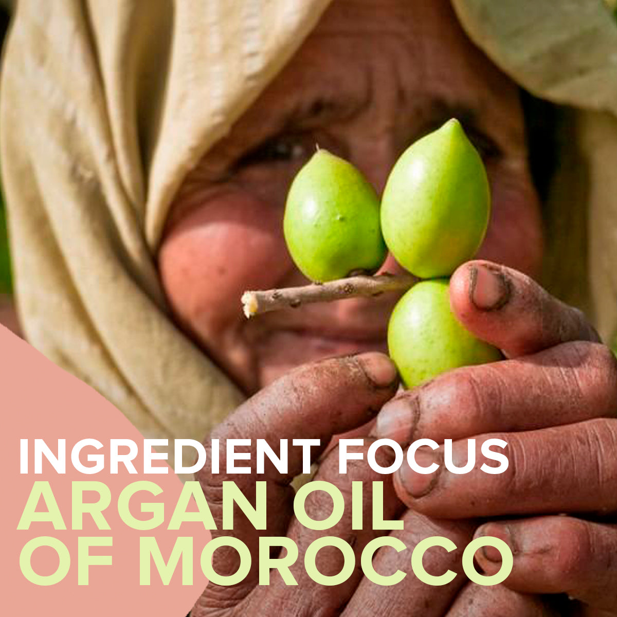 Pure argan oil was named “liquid gold” in an article featured in the New York Times. The oil is exceptionally abundant in Vitamins A and E, antioxidants, linoleic acid and omega-6 fatty acids that it’s no wonder it is one of the most revered beauty oils.