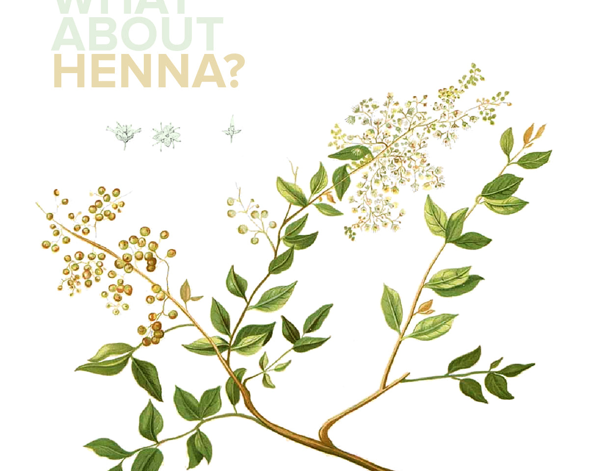 WHAT ABOUT HENNA?