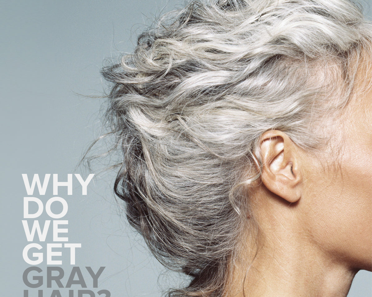 WHY DO WE GET GRAY HAIR?