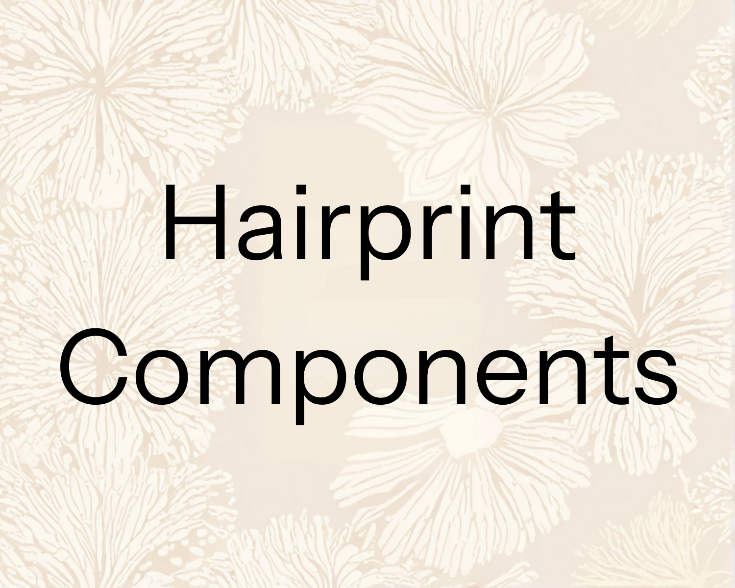 Hairprint_Componenets.png
