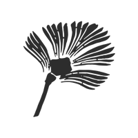 hairprint_home_womens_non_toxic_icon_a3007bd5-9118-4d24-b7ed-163bb46bad9d.png