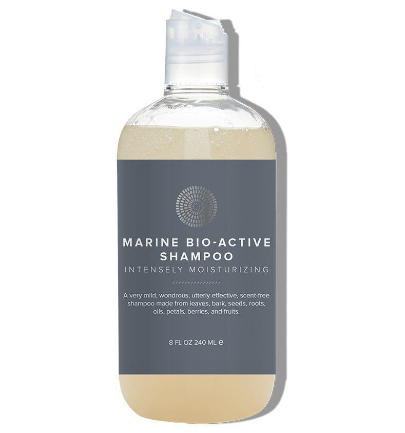 inkompetence I stor skala lufthavn Bio-Active Kelp Shampoo - Healthy Hair Comes From A Healthy Scalp